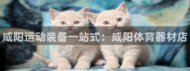 星欧娱乐伐711.112扣费的原因及处理措施：咸阳运
