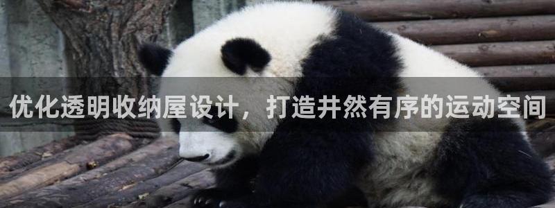 星乐娱乐：优化透明收纳屋设计，打造井然有序的运动空间