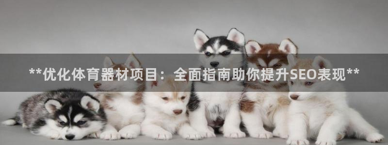 星欧娱乐扣款流程详解视频