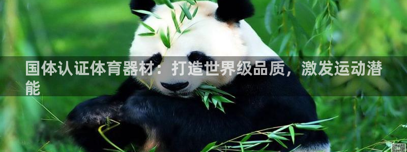 星欧娱乐是正规平台吗安全吗：国体认证体育器材：打造世