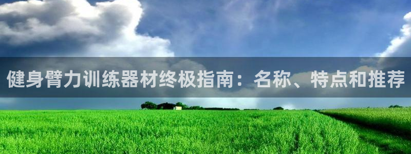 星欧娱乐联和哪个品牌合作：健身臂力训练器材终极指南：