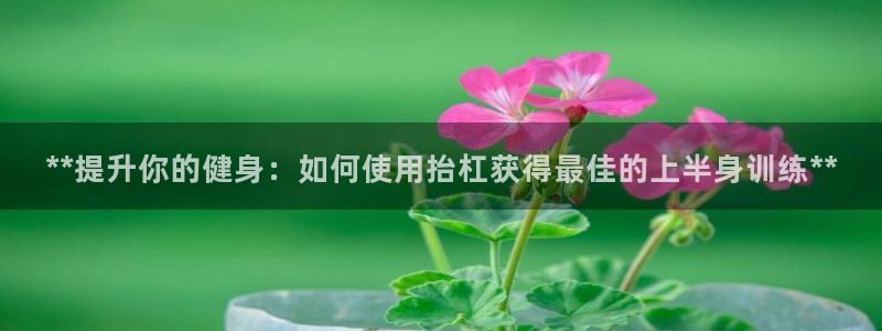 星娱乐online：**提升你的健身：如何使用抬杠获