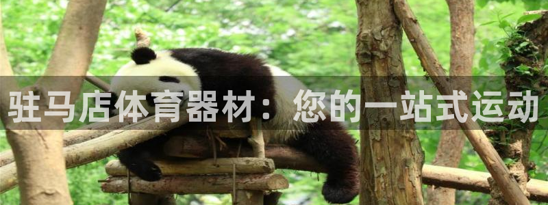 星欧娱乐平台怎么样啊安全吗：驻马店体育器材：您的一站