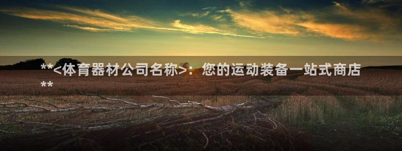 星欧娱乐是正规平台吗安全吗：**<体育器材公司名称>