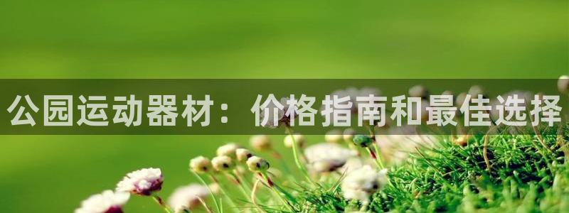 星奥娱乐旗下艺人：公园运动器材：价格指南和最佳选择