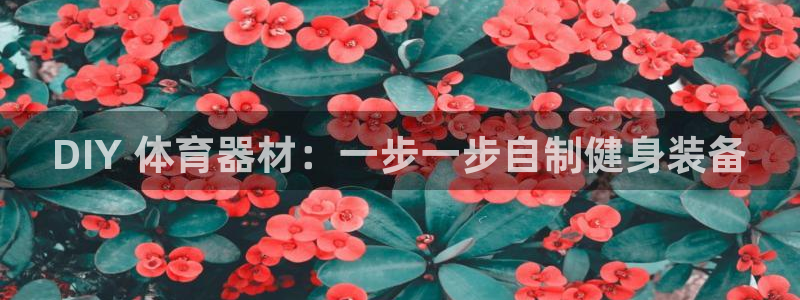 星欧娱乐是什么品牌：DIY 体育器材：一步一步自制健