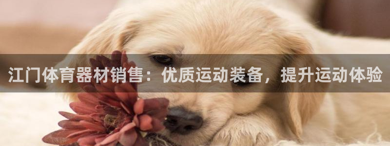 星欧娱乐官网首页入口：江门体育器材销售：优质运动装备