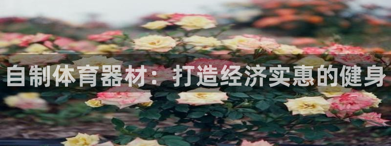 星欧娱乐挂机教程视频：自制体育器材：打造经济实惠的健