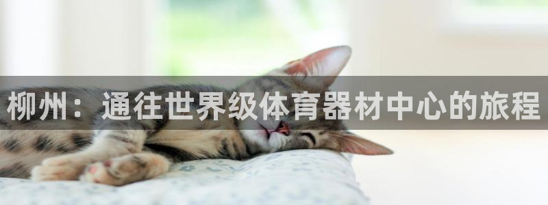星欧娱乐最建议买的三个游戏是什么：柳州：通往世界级体