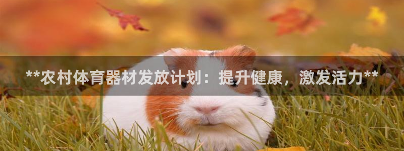 星欧娱乐公司地址：**农村体育器材发放计划：提升健康