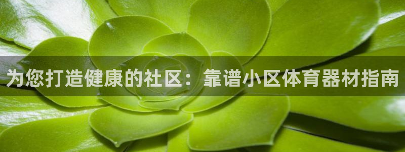 星娱乐是谁的公司：为您打造健康的社区：靠谱小区体育器