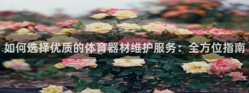 星欧娱乐游戏中心官网登录：如何选择优质的体育器材维护