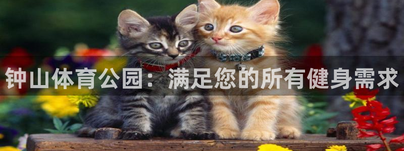 星欧娱乐属于什么档次：钟山体育公园：满足您的所有健身