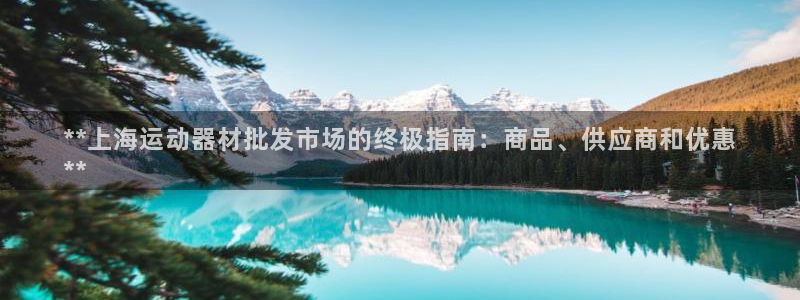 星娱乐文化传媒：**上海运动器材批发市场的终极指南：