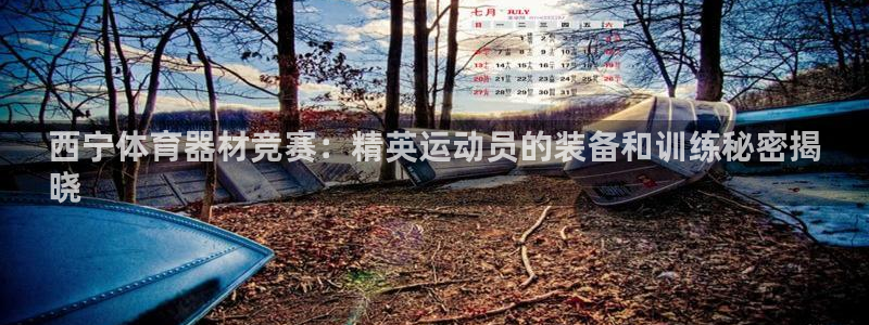 星欧娱乐平台怎么样知乎赚钱吗