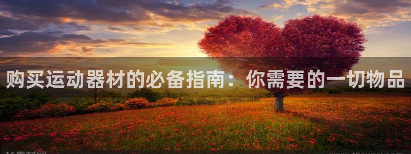 星欧娱乐最建议买的三个产品是什么意思：购买运动器材的