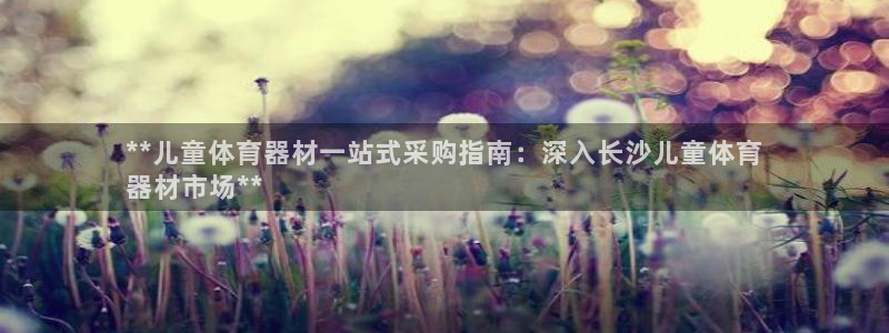 星奥娱乐集团官网：**儿童体育器材一站式采购指南：深
