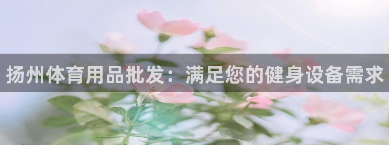 星欧娱乐最建议买的三个游戏：扬州体育用品批发：满足您