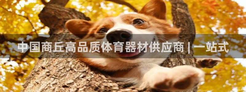 江苏星奥娱乐招艺人：中国商丘高品质体育器材供应商 |