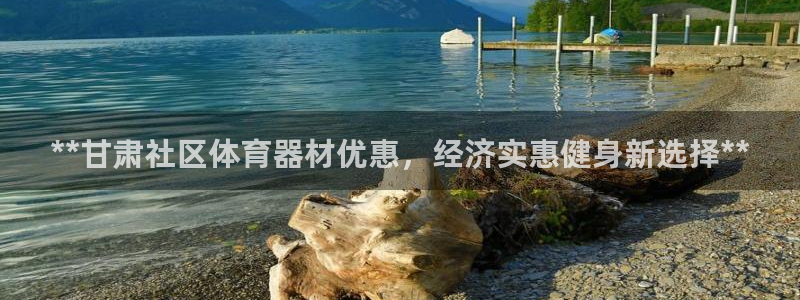 星欧娱乐公司创始人背景故事简介：**甘肃社区体育器材
