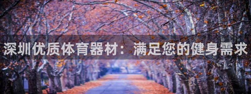 星欧娱乐游戏官网：深圳优质体育器材：满足您的健身需求