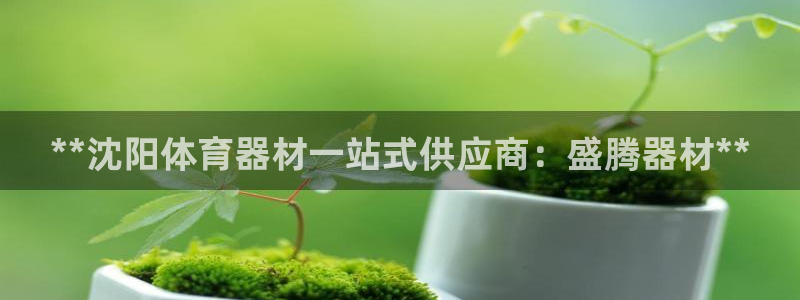 星欧娱乐银行卡怎么登录：**沈阳体育器材一站式供应商
