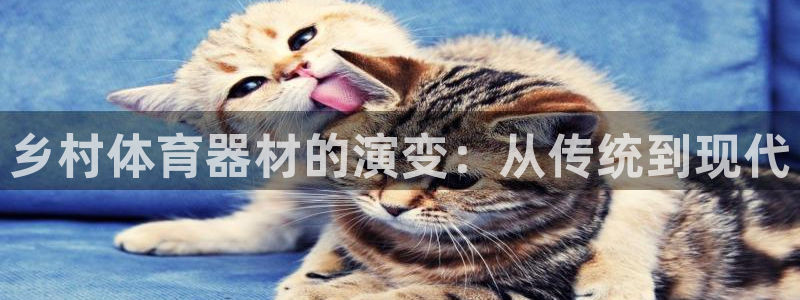 星欧娱乐官网：乡村体育器材的演变：从传统到现代