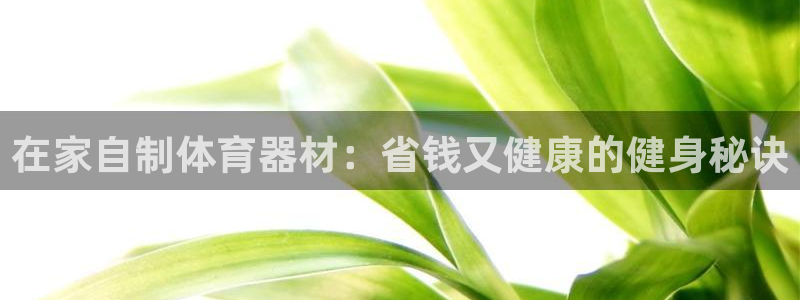 星欧娱乐公司电话号码：在家自制体育器材：省钱又健康的