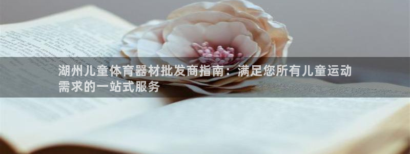 星欧娱乐是正规品牌吗：湖州儿童体育器材批发商指南：满