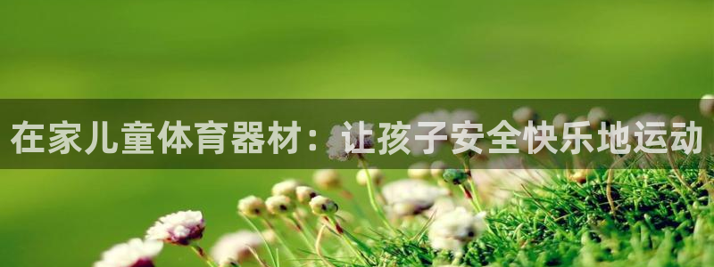 星奥娱乐怎么样：在家儿童体育器材：让孩子安全快乐地运