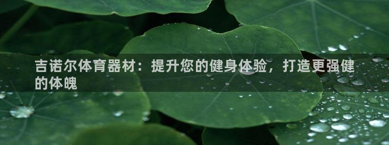 星娱乐online：吉诺尔体育器材：提升您的健身体验