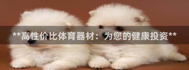 星欧娱乐扣款时间查询方法怎么查：**高性价比体育器材