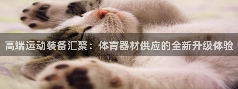 星娱乐文化传媒有限公司