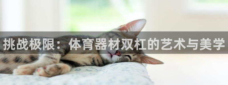 星欧娱乐平台怎么样可靠吗安全吗