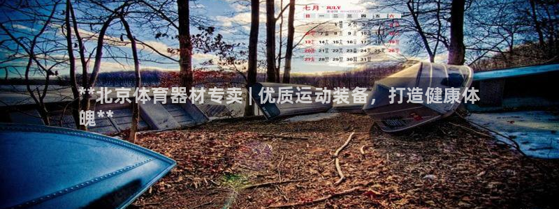 星欧娱乐游戏官网：**北京体育器材专卖 | 优质运动装备，打 