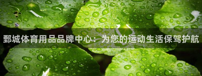 星欧娱乐公司电话号码查询