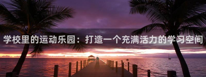 星奥盛典娱乐会所：学校里的运动乐园：打造一个充满活力的学习空