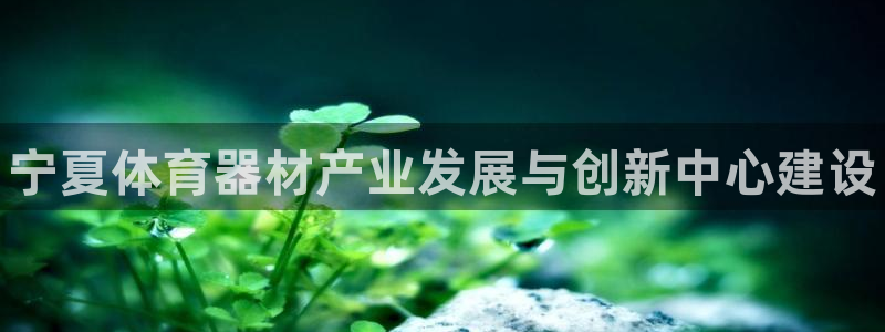 星欧娱乐发7O777：宁夏体育器材产业发展与创新中心