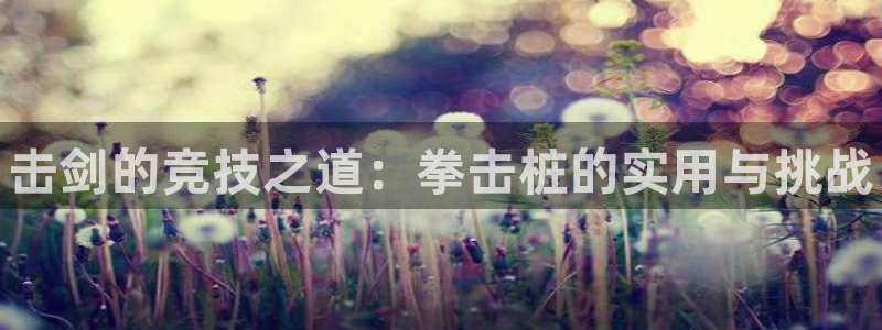 星奥娱乐集团：击剑的竞技之道：拳击桩的实用与挑战 